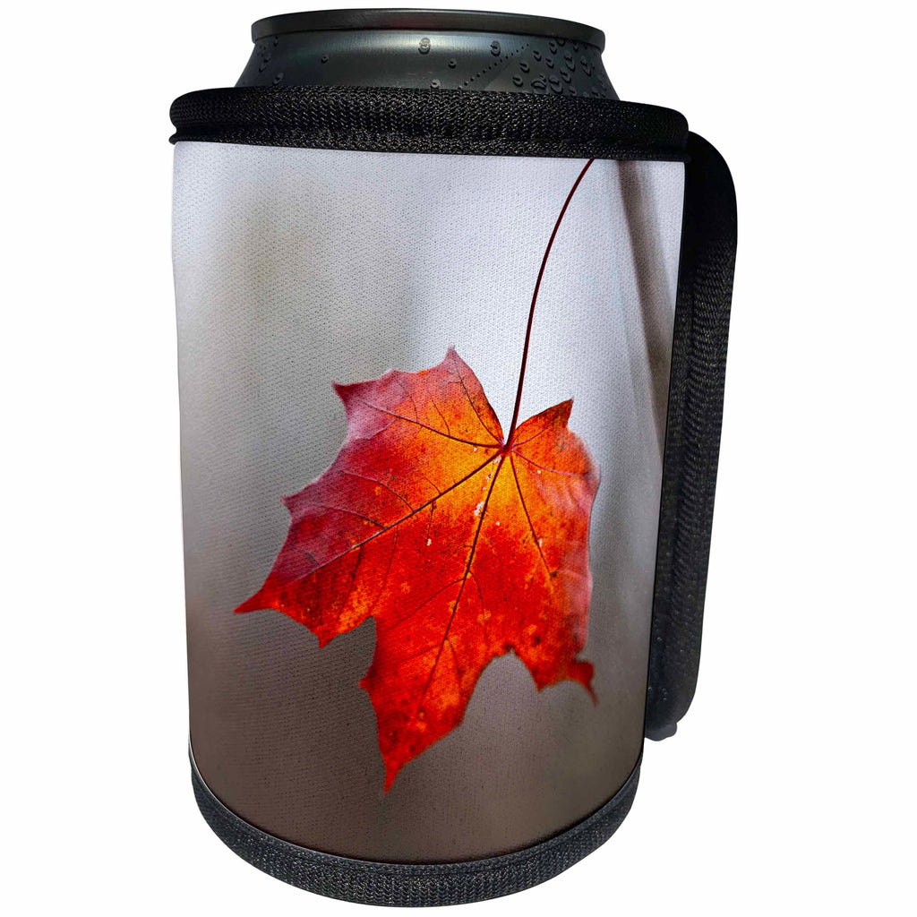 3dRose Alexis Photography - Autumn - Red maple leaf, gray background - Can Cooler Bottle Wrap (cc_264246)