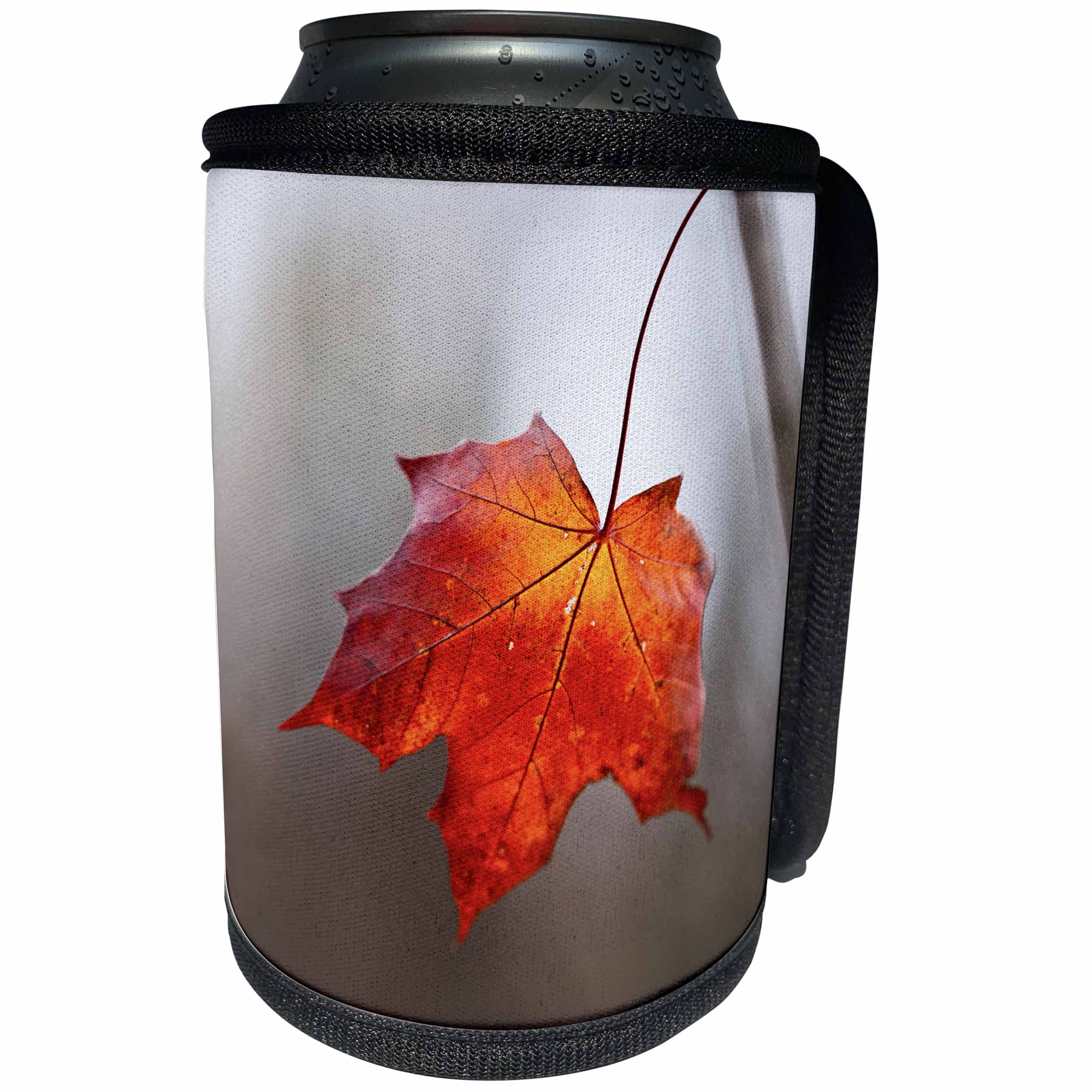 3dRose Alexis Photography - Autumn - Red maple leaf, gray background - Can Cooler Bottle Wrap (cc_264246)