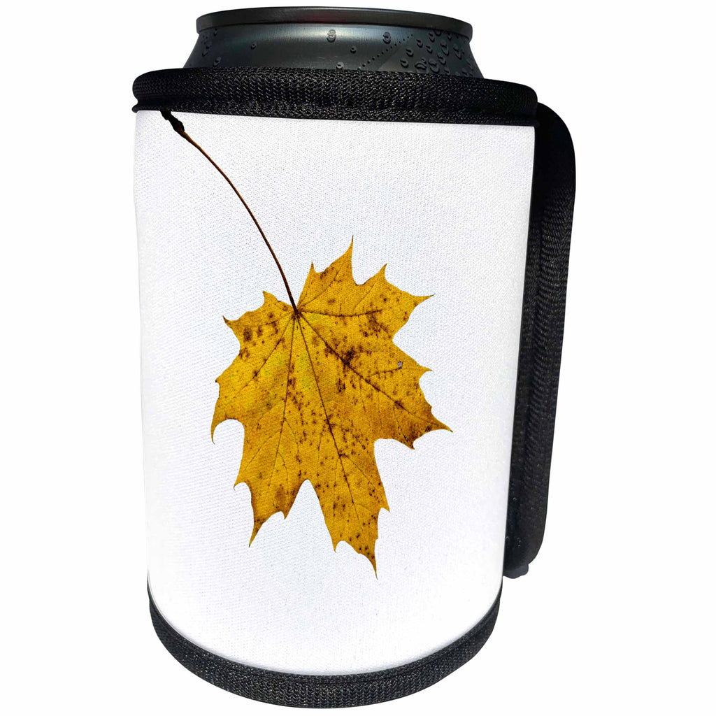3dRose Alexis Photography - Autumn - Single yellow maple tree, white background - Can Cooler Bottle Wrap (cc_264256)