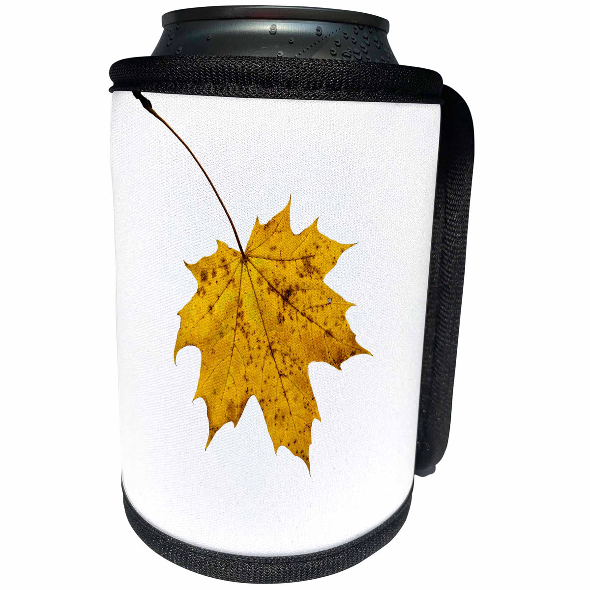 3dRose Alexis Photography - Autumn - Single yellow maple tree, white background - Can Cooler Bottle Wrap (cc_264256)