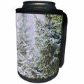 3dRose Alexis Photography - Winter - Green spruce trees in the forest. Cold and frosty winter day - Can Cooler Bottle Wrap (cc_264258)