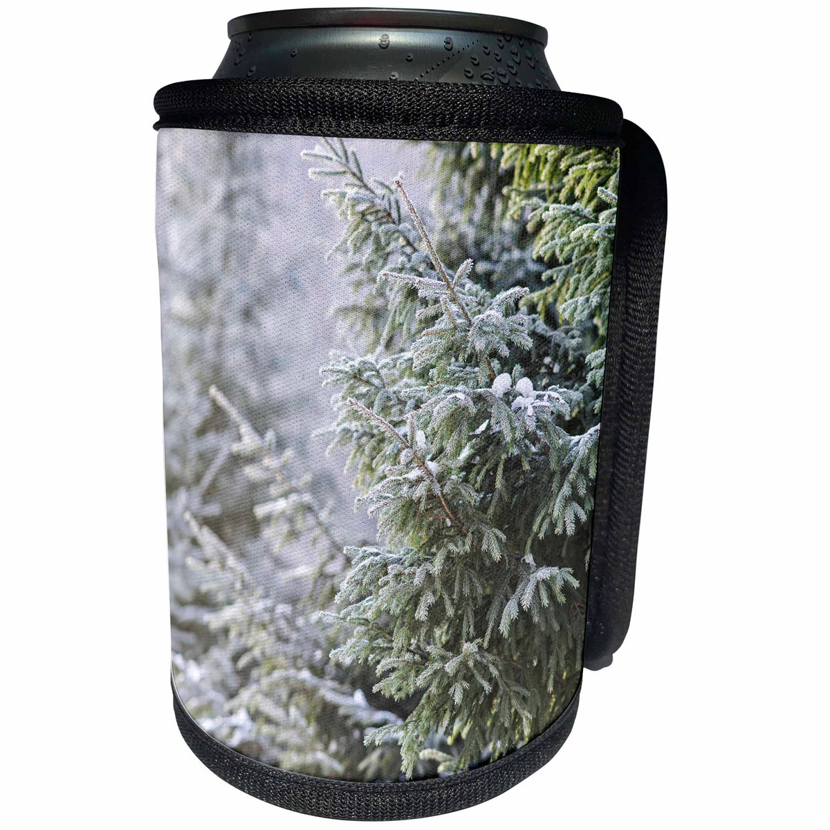 3dRose Alexis Photography - Winter - Green spruce trees in the forest. Cold and frosty winter day - Can Cooler Bottle Wrap (cc_264258)
