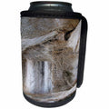 3dRose Abstract Wood Colors - Image of Close Up Of Florida Tree Bark - Can Cooler Bottle Wrap (cc_264391)
