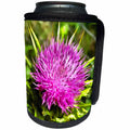 3dRose Taiche - Acrylic Painting - Wildflower - Purple Thistle Wildflower - Can Cooler Bottle Wrap (cc_264424)