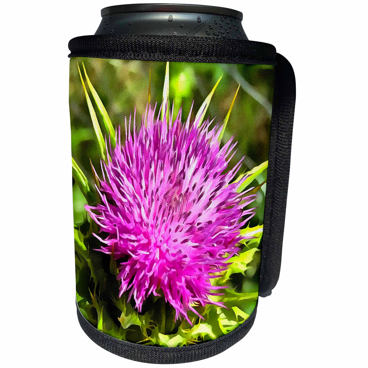 3dRose Taiche - Acrylic Painting - Wildflower - Purple Thistle Wildflower - Can Cooler Bottle Wrap (cc_264424)