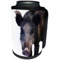 3dRose Taiche - Vector - Razorback - Crazy As A Peach Orchard Boar Vector - Can Cooler Bottle Wrap (cc_264473)