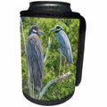 3dRose Roni Chastain Photography - Black-crowned night heron - Can Cooler Bottle Wrap (cc_264623)
