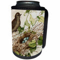 3dRose TNMGraphics Birds - Brown Bird Over Branch and Nest Full of Eggs - Can Cooler Bottle Wrap (cc_264651)