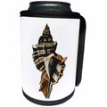 3dRose TNMGraphics Nautical - Black Brown and Tan Striped Conch Shell - Can Cooler Bottle Wrap (cc_264654)