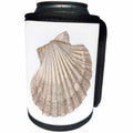 3dRose TNMGraphics Nautical - Scallop Seashell - Can Cooler Bottle Wrap (cc_264657)