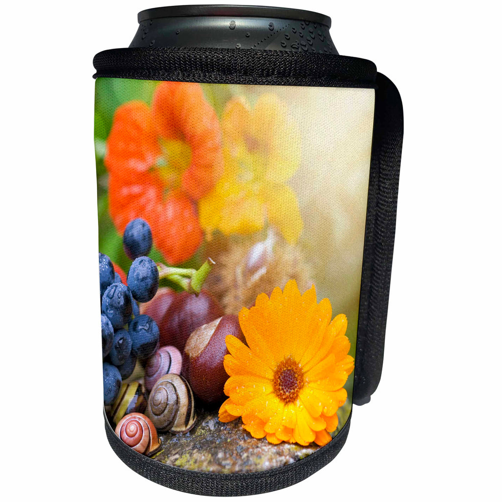 3dRose Andrea Haase Nature Photography - Autumn still life with flowers and grapes - Can Cooler Bottle Wrap (cc_264674)
