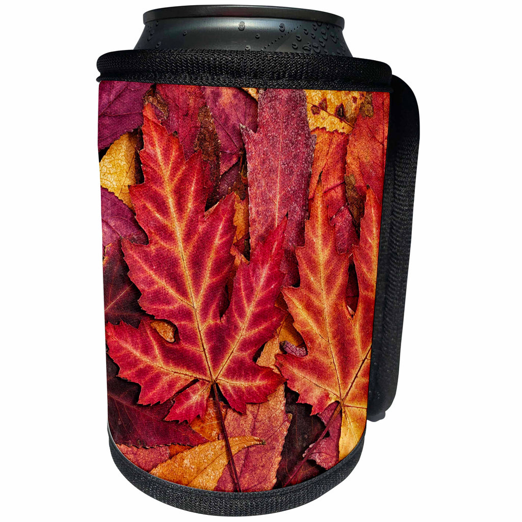 3dRose Andrea Haase Nature Photography - Colorful autumn maple leaf - Can Cooler Bottle Wrap (cc_264676)
