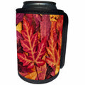 3dRose Andrea Haase Nature Photography - Colorful autumn maple leaf - Can Cooler Bottle Wrap (cc_264676)
