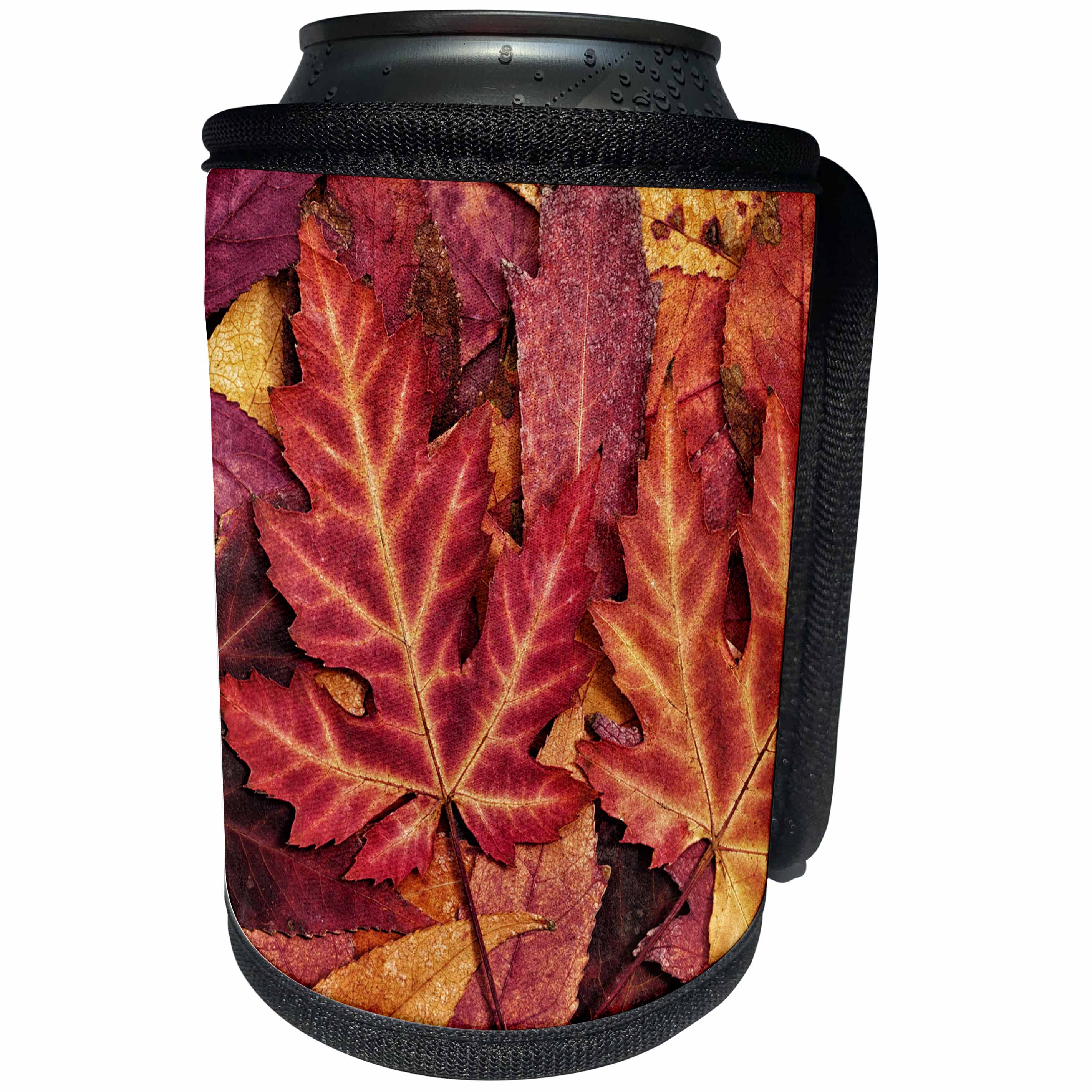 3dRose Andrea Haase Nature Photography - Colorful autumn maple leaf - Can Cooler Bottle Wrap (cc_264676)
