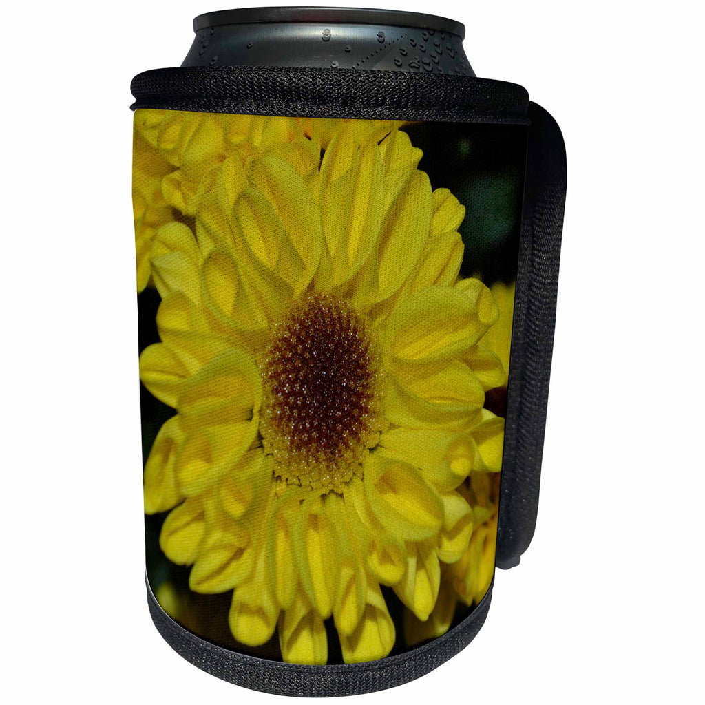 3dRose WhiteOak Photography Floral Prints - Sunflower Mum A Yellow Flower - Can Cooler Bottle Wrap (cc_26472)