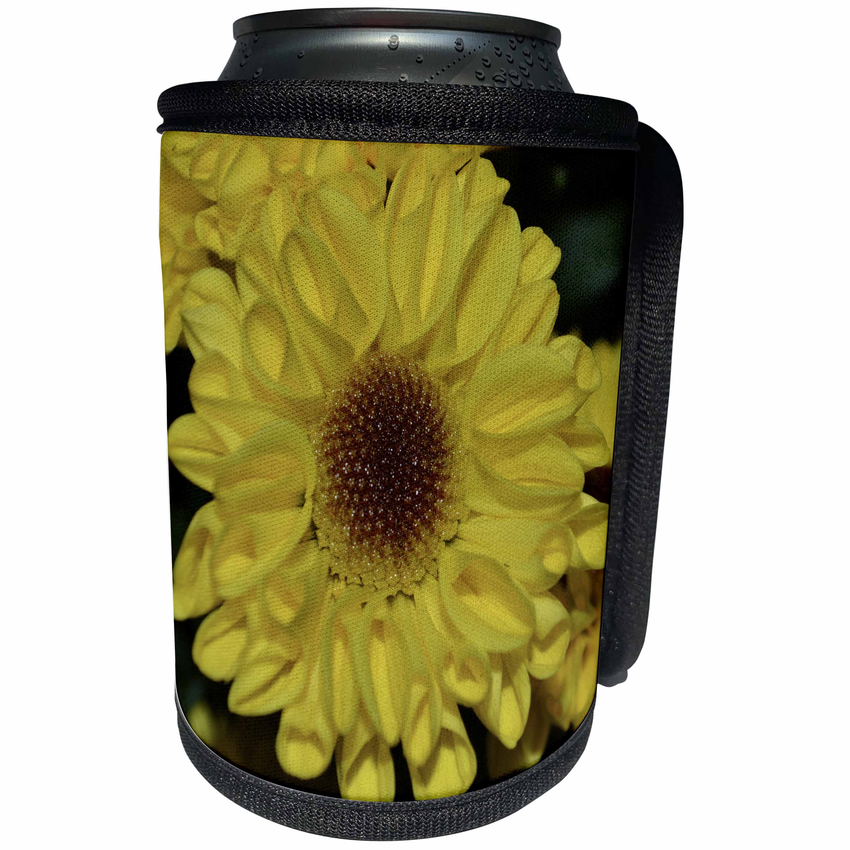 3dRose WhiteOak Photography Floral Prints - Sunflower Mum A Yellow Flower - Can Cooler Bottle Wrap (cc_26472)