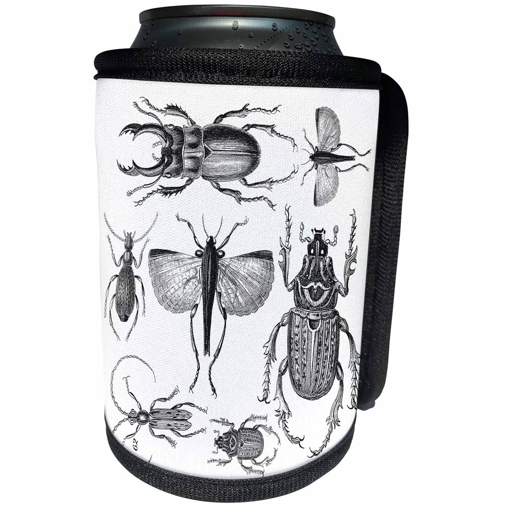 3dRose Andrea Haase Animals Illustration - Vintage drawing of bugs and beetles in black and white - Can Cooler Bottle Wrap (cc_264735)