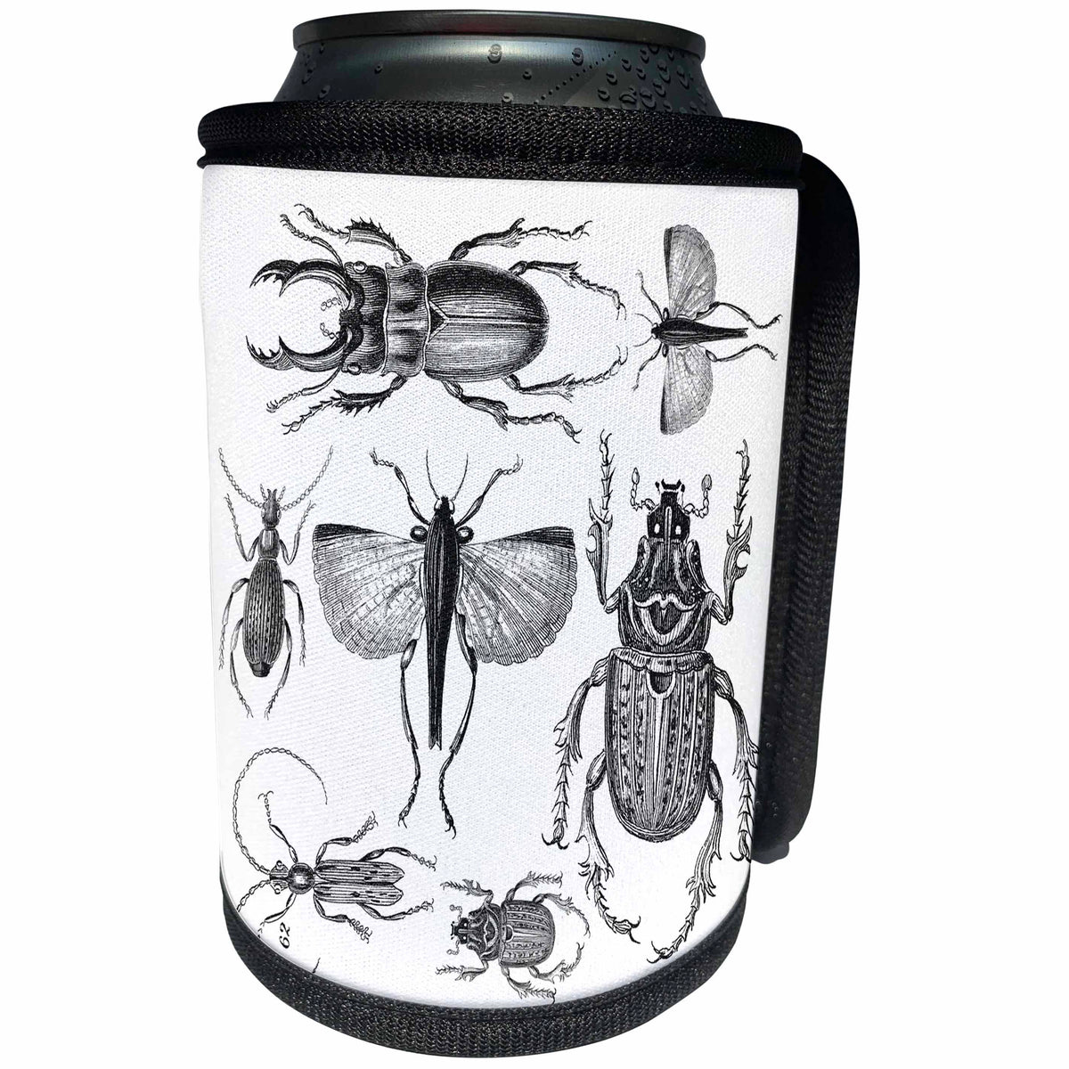 3dRose Andrea Haase Animals Illustration - Vintage drawing of bugs and beetles in black and white - Can Cooler Bottle Wrap (cc_264735)