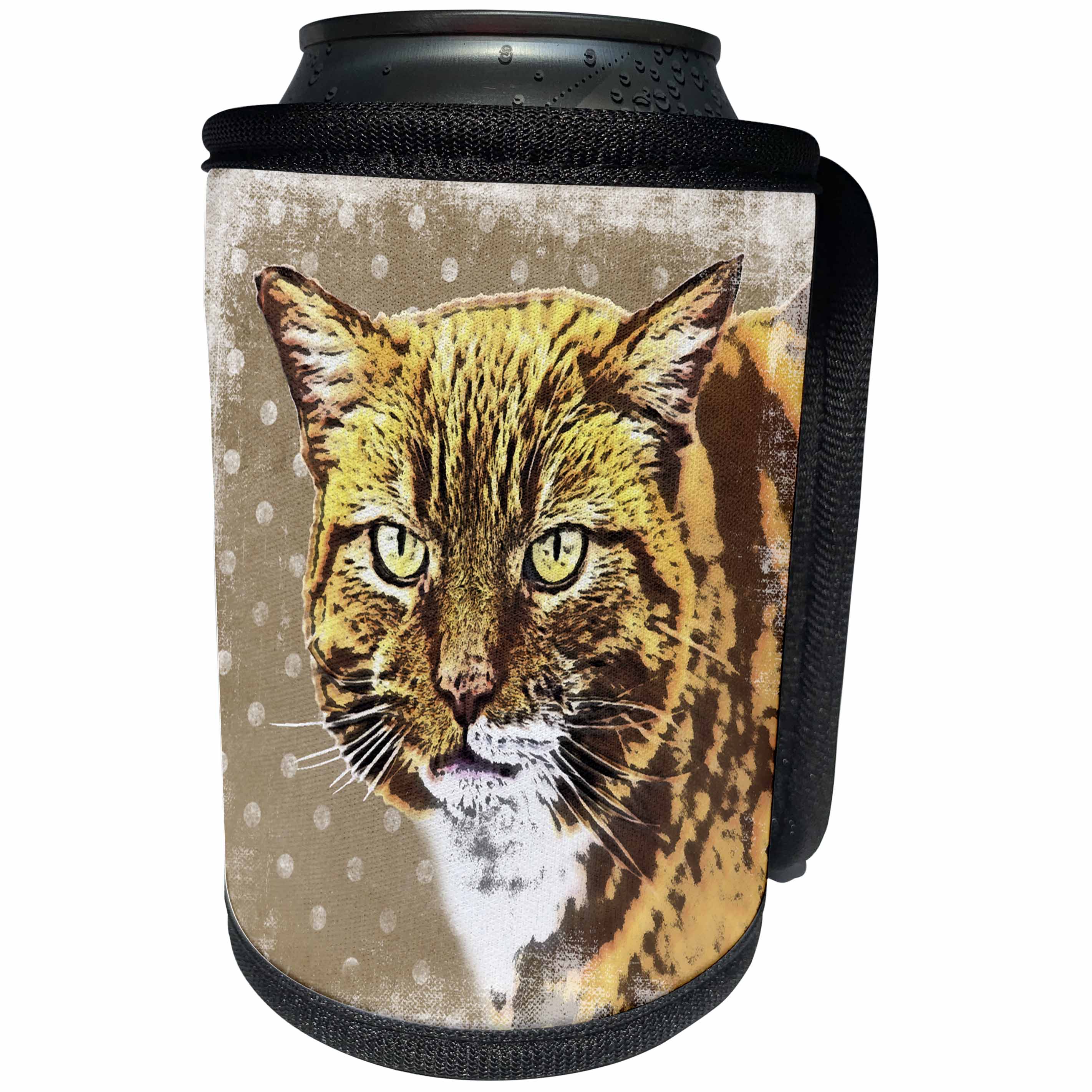 3dRose Andrea Haase Animals Illustration - Cat illustration grumpy - Can Cooler Bottle Wrap (cc_264741)