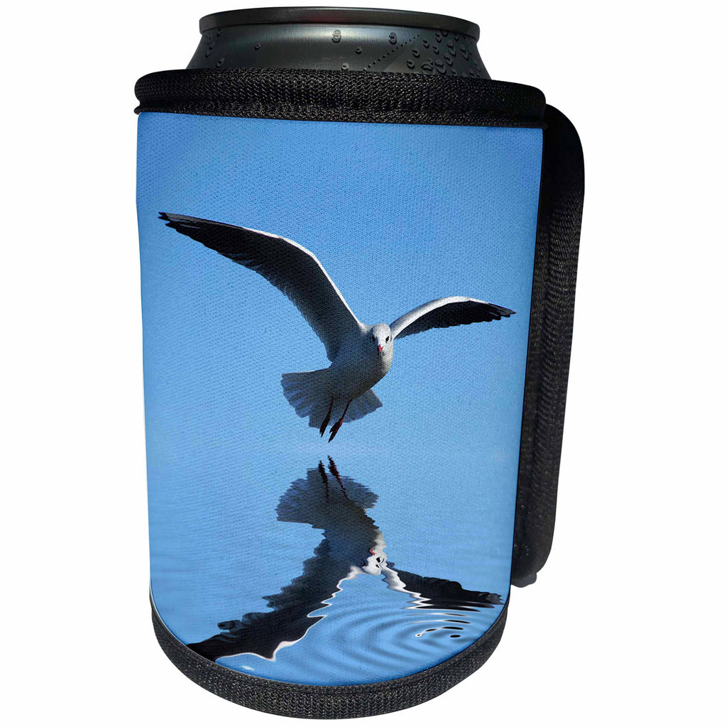 3dRose Andrea Haase Animals Photography - Sea gull on blue sky over reflecting water - Can Cooler Bottle Wrap (cc_264747)