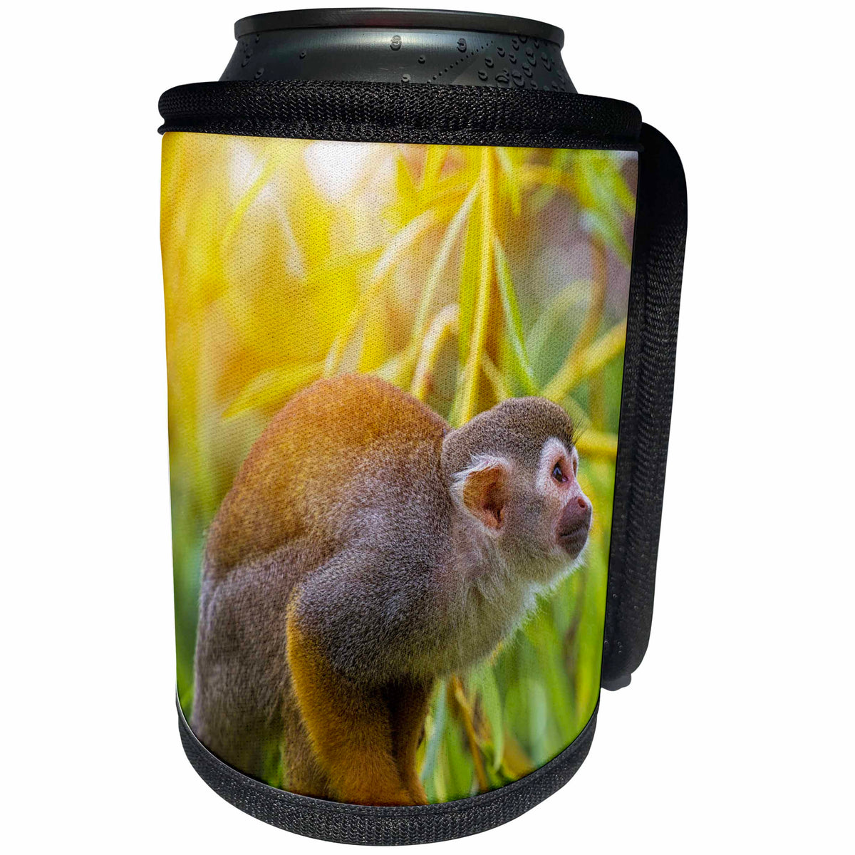 3dRose Andrea Haase Animals Photography - Cute Squirrel monkey in bright sunlight - Can Cooler Bottle Wrap (cc_264753)