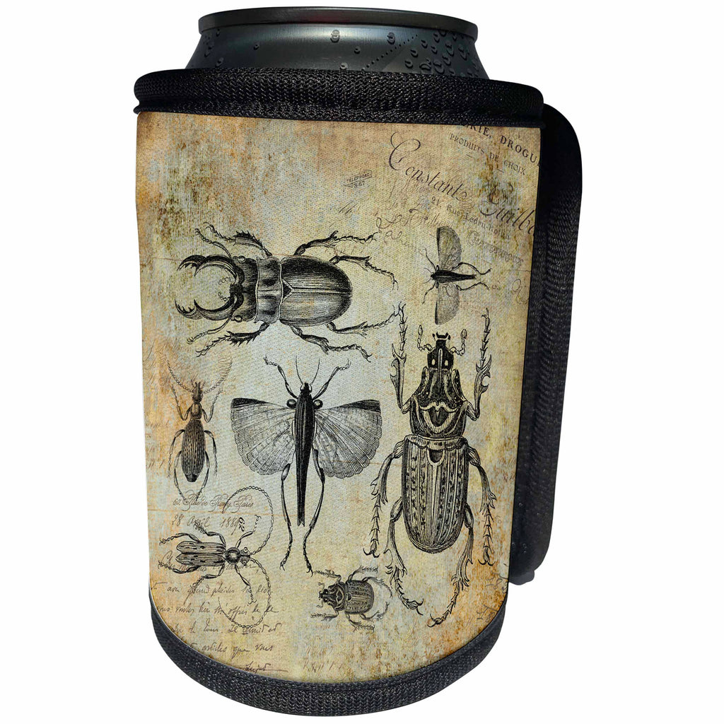 3dRose Andrea Haase Animals Illustration - Vintage bugs and beetle illustration - Can Cooler Bottle Wrap (cc_264754)