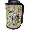 3dRose Andrea Haase Animals Illustration - Vintage bugs and beetle illustration - Can Cooler Bottle Wrap (cc_264754)