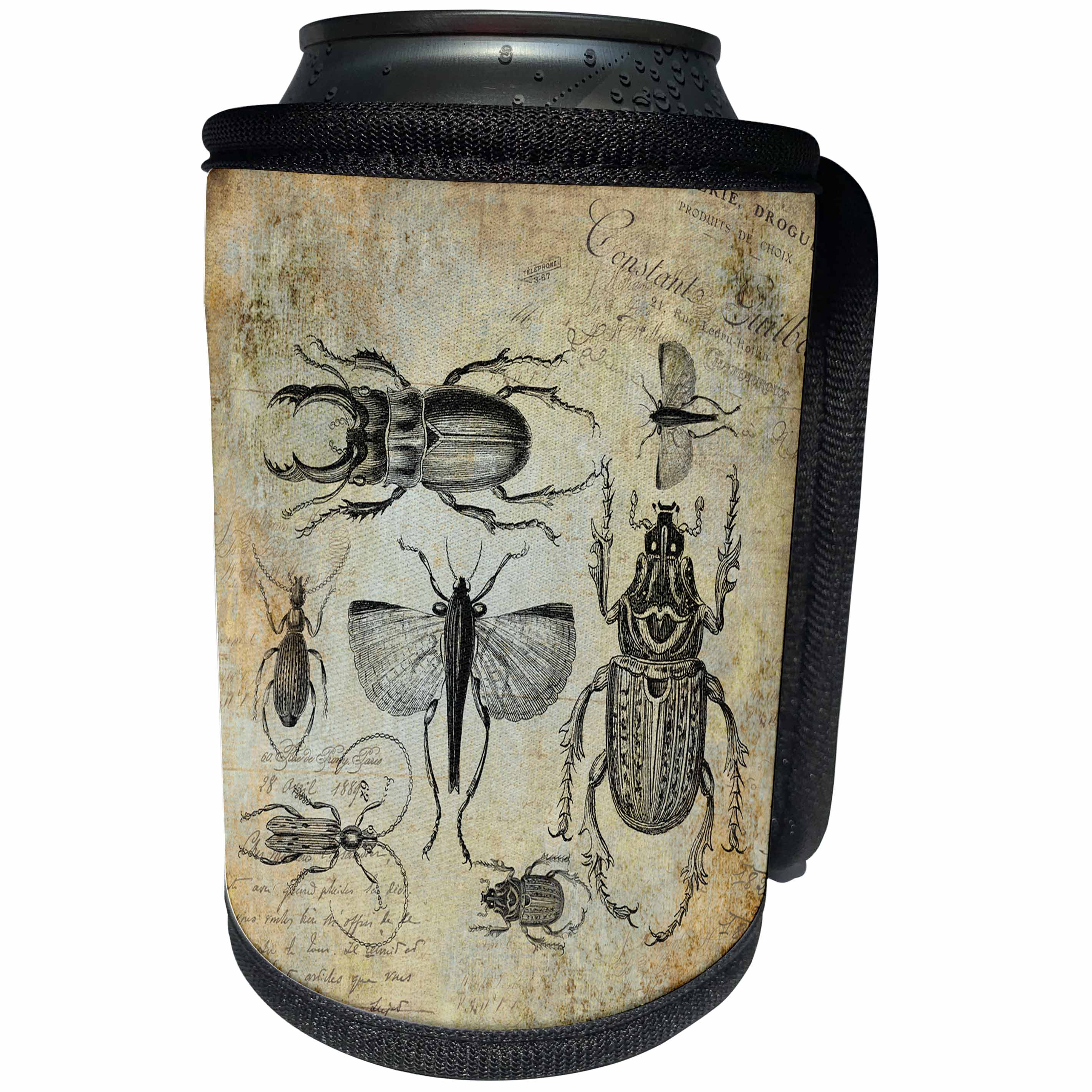 3dRose Andrea Haase Animals Illustration - Vintage bugs and beetle illustration - Can Cooler Bottle Wrap (cc_264754)