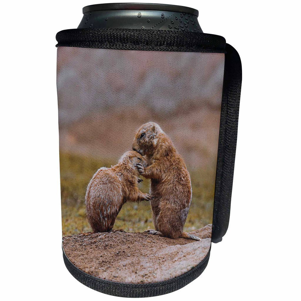 3dRose Andrea Haase Animals Photography - Cute little prairie dogs caring each other - Can Cooler Bottle Wrap (cc_264759)