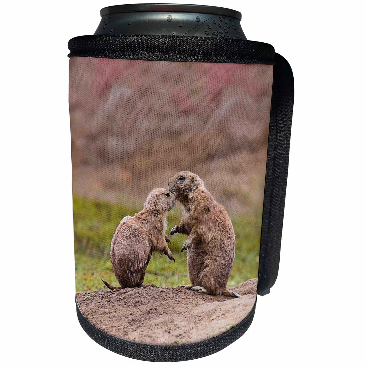 3dRose Andrea Haase Animals Photography - Cute little prairie dogs - Can Cooler Bottle Wrap (cc_264760)