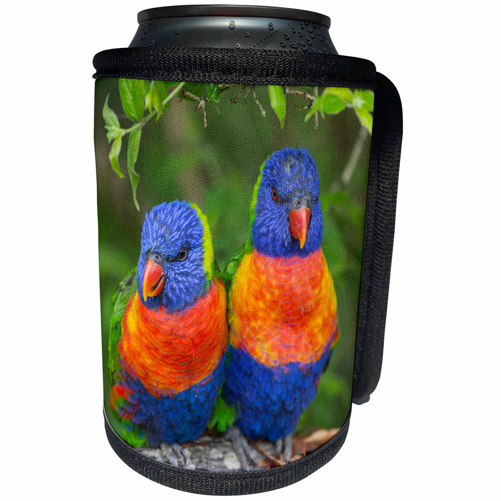 3dRose Andrea Haase Animals Photography - Cute lorie bird couple in green vegetation - Can Cooler Bottle Wrap (cc_264773)