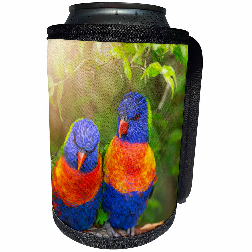 3dRose Andrea Haase Animals Photography - Cute lorie bird couple in bright sunlight - Can Cooler Bottle Wrap (cc_264774)
