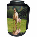 3dRose Andrea Haase Animals Photography - Cute foal and mother on green meadow at the edge of calm lake - Can Cooler Bottle Wrap (cc_264775)