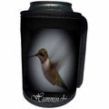 3dRose WhiteOak Photography Animal Prints - Hummingbird AA Hummingbird picture - Can Cooler Bottle Wrap (cc_26478)