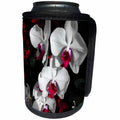 3dRose WhiteOak Photography Floral Prints - Phalaenopsis Orchids White and Pink Orchids - Can Cooler Bottle Wrap (cc_26483)