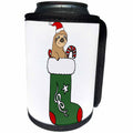 3dRose All Smiles Art Christmas - Funny Cool Sloth in a Christmas Stocking Cartoon - Can Cooler Bottle Wrap (cc_265099)