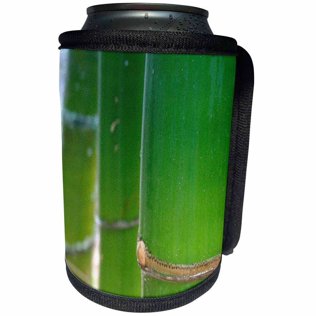 3dRose Florene Macro Plant - Bamboo Smooth - Can Cooler Bottle Wrap (cc_26515)