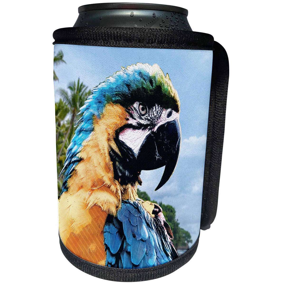 3dRose Phil Perkins - Animals - Colorful Tropical Parrot Bird - Can Cooler Bottle Wrap (cc_265155)