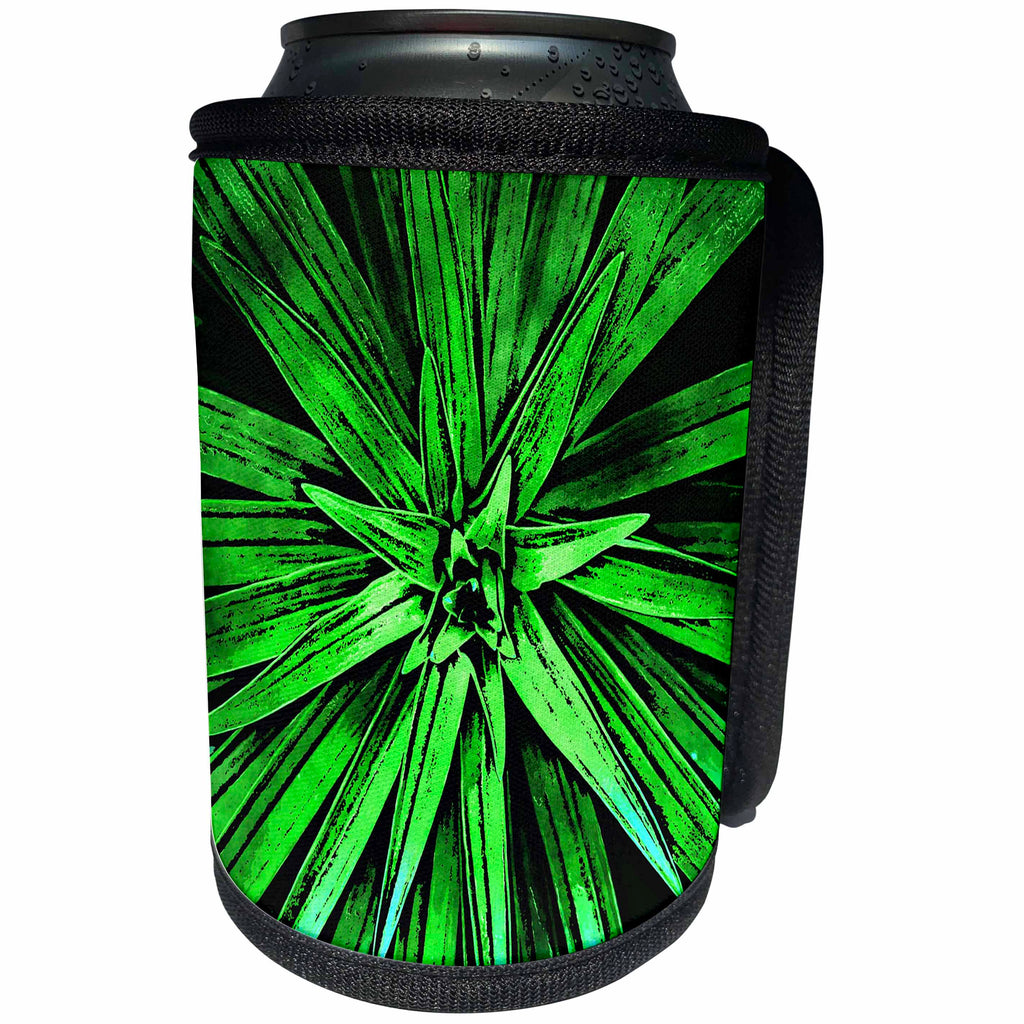 3dRose Phil Perkins - Nature - Botanical Succulent Green Plant - Can Cooler Bottle Wrap (cc_265156)
