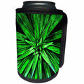 3dRose Phil Perkins - Nature - Botanical Succulent Green Plant - Can Cooler Bottle Wrap (cc_265156)