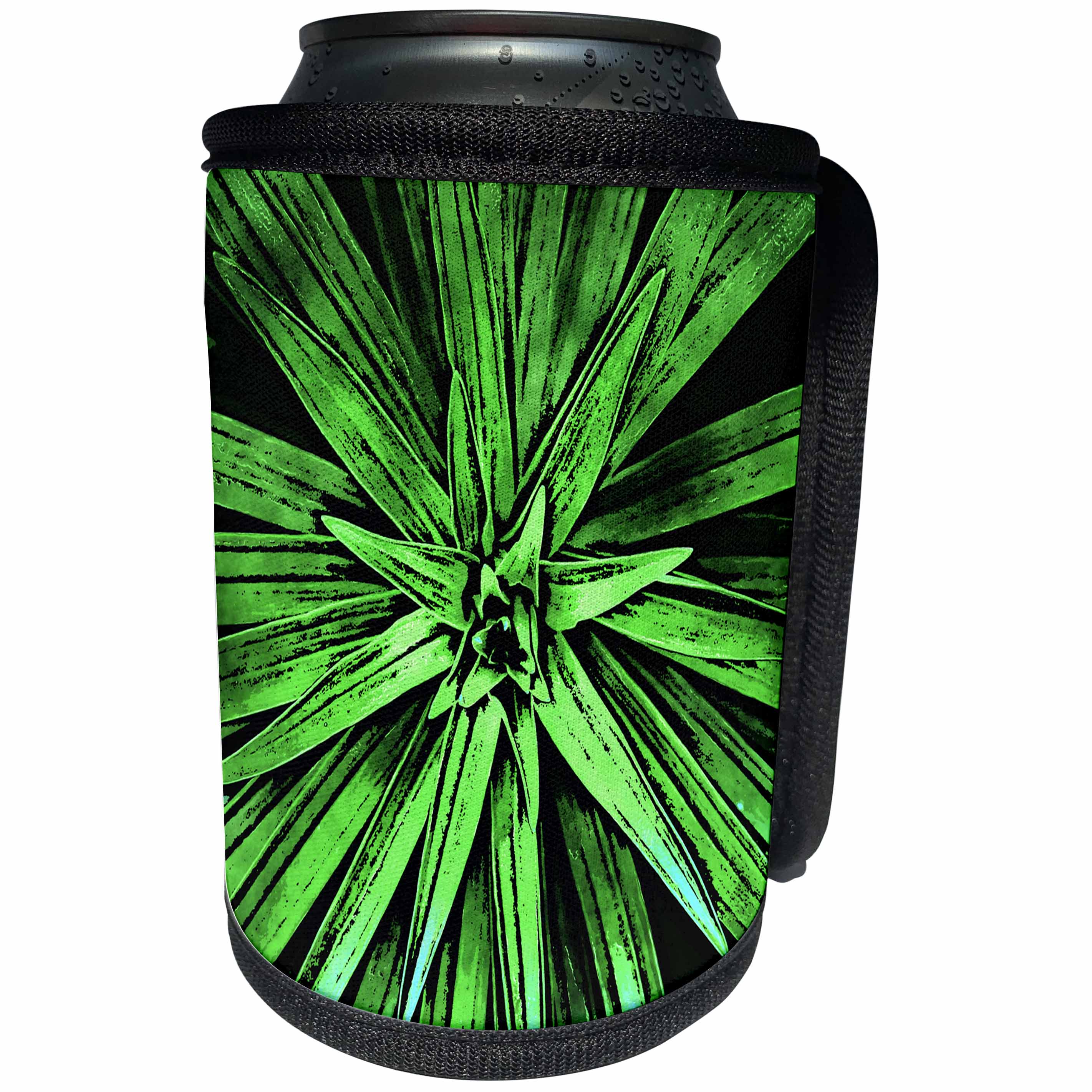3dRose Phil Perkins - Nature - Botanical Succulent Green Plant - Can Cooler Bottle Wrap (cc_265156)