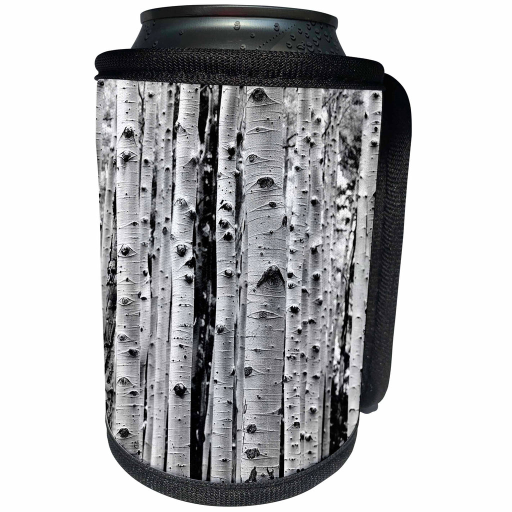 3dRose Phil Perkins - Photography - Birch Tree Forest - Can Cooler Bottle Wrap (cc_265181)