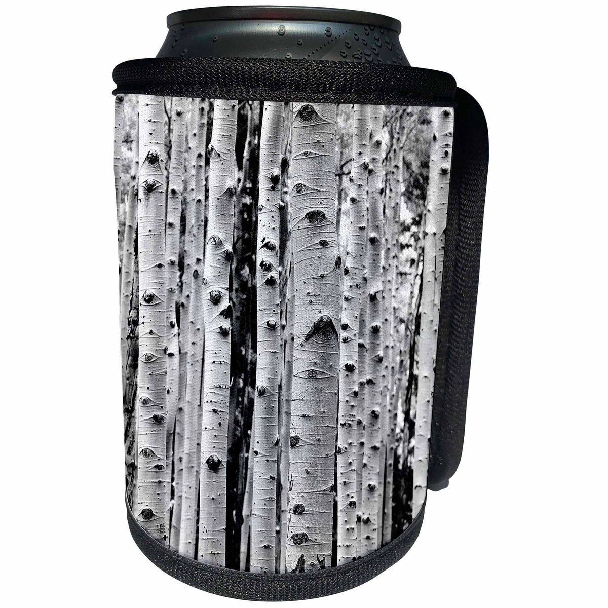 3dRose Phil Perkins - Photography - Birch Tree Forest - Can Cooler Bottle Wrap (cc_265181)