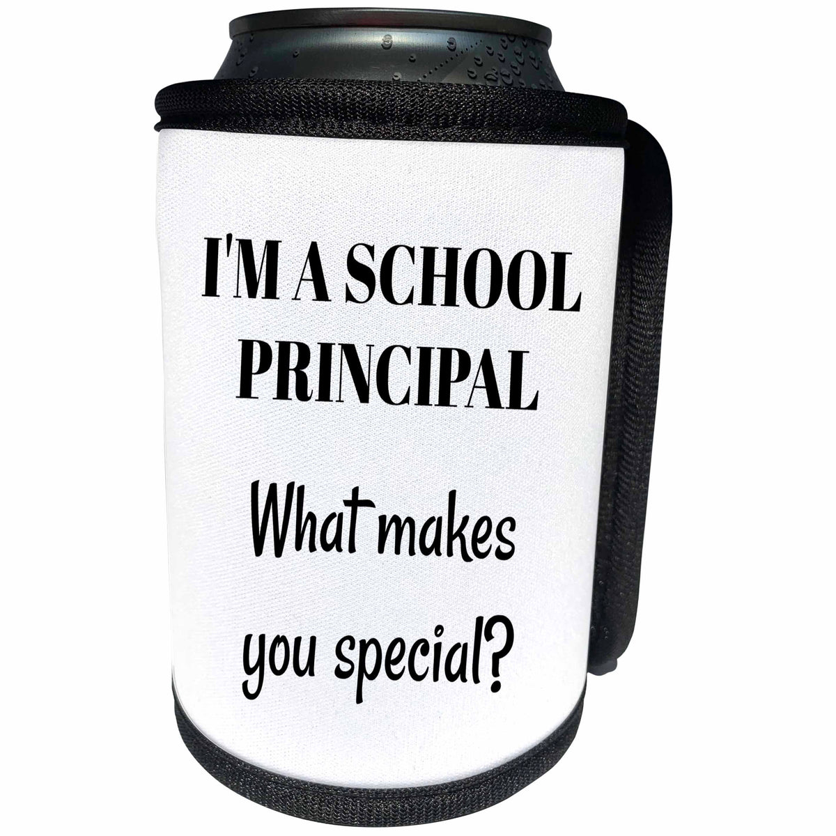 3dRose BrooklynMeme Sayings - Im a SCHOOL PRINCIPAL what makes you special - Can Cooler Bottle Wrap (cc_265306)