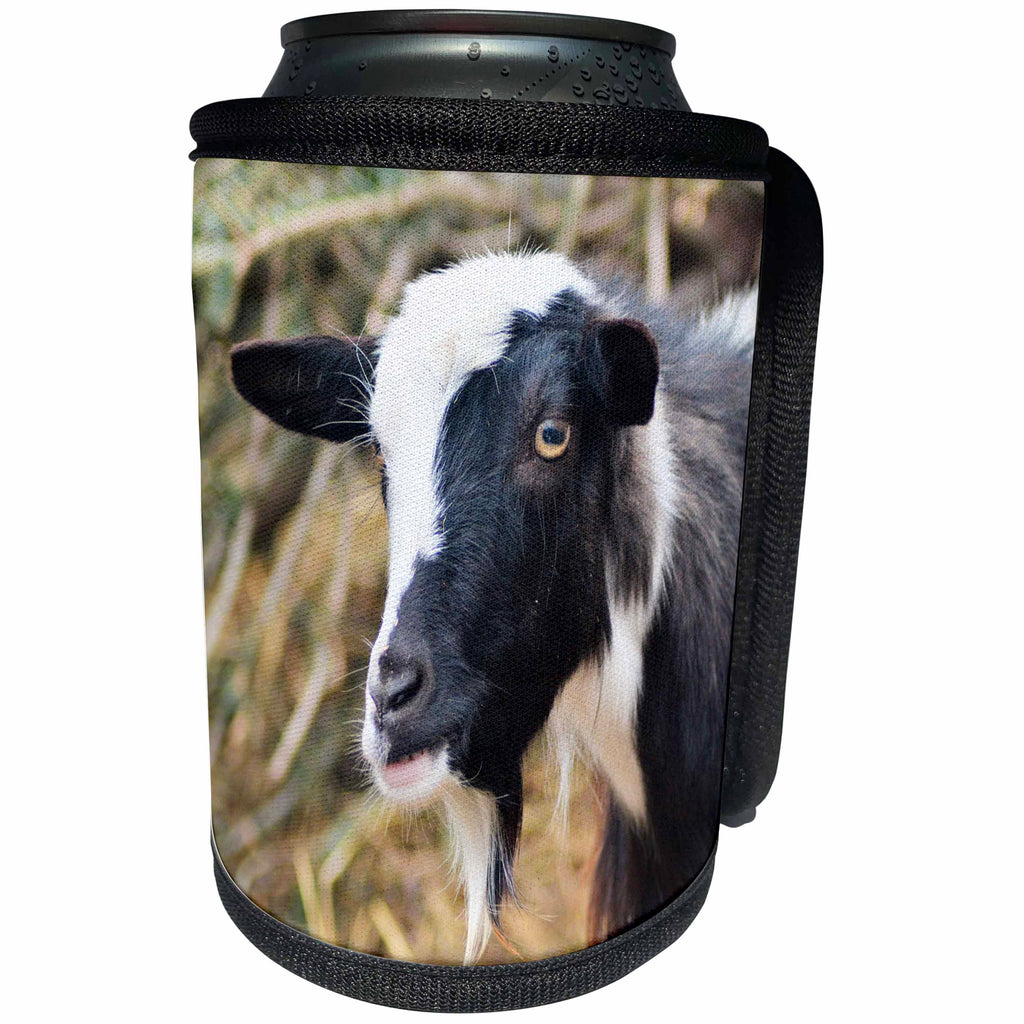 3dRose WhiteOaks Photography and Artwork - Goats - Ying Yang Goat is a photo of a goat that reminded me of ying yang - Can Cooler Bottle Wrap (cc_265343)