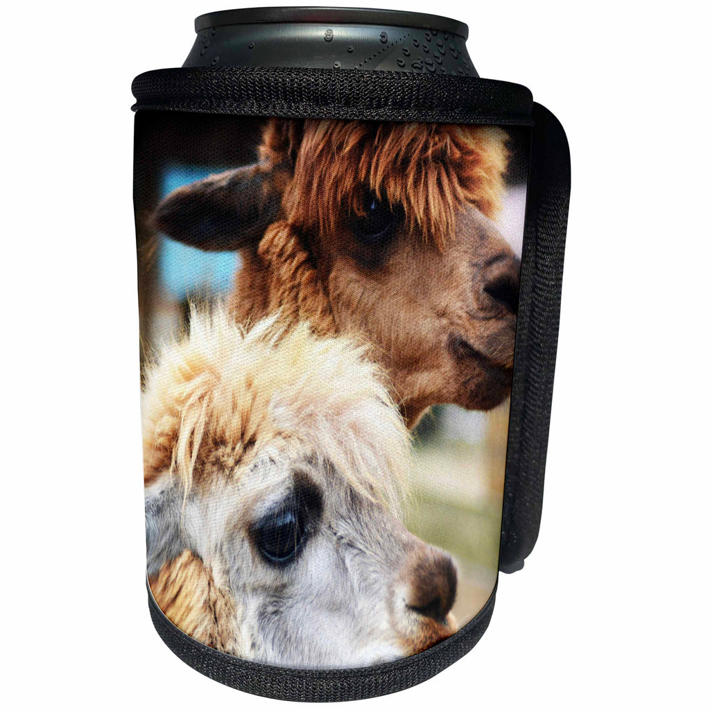 3dRose WhiteOaks Photography and Artwork - Lamas - Two Lamas Better Than One is a photo of two lama hogging the camera - Can Cooler Bottle Wrap (cc_265347)