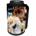 3dRose WhiteOaks Photography and Artwork - Lamas - Two Lamas Better Than One is a photo of two lama hogging the camera - Can Cooler Bottle Wrap (cc_265347)