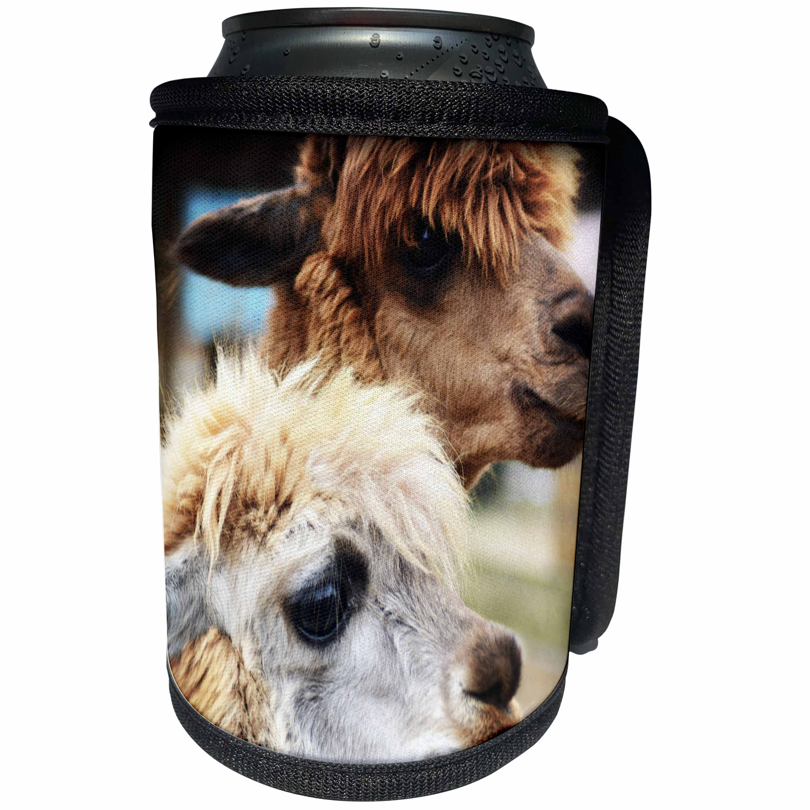 3dRose WhiteOaks Photography and Artwork - Lamas - Two Lamas Better Than One is a photo of two lama hogging the camera - Can Cooler Bottle Wrap (cc_265347)