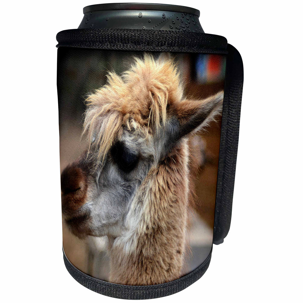 3dRose WhiteOaks Photography and Artwork - Lamas - Seriously the Face is a photo of a lama that is looking serious - Can Cooler Bottle Wrap (cc_265348)