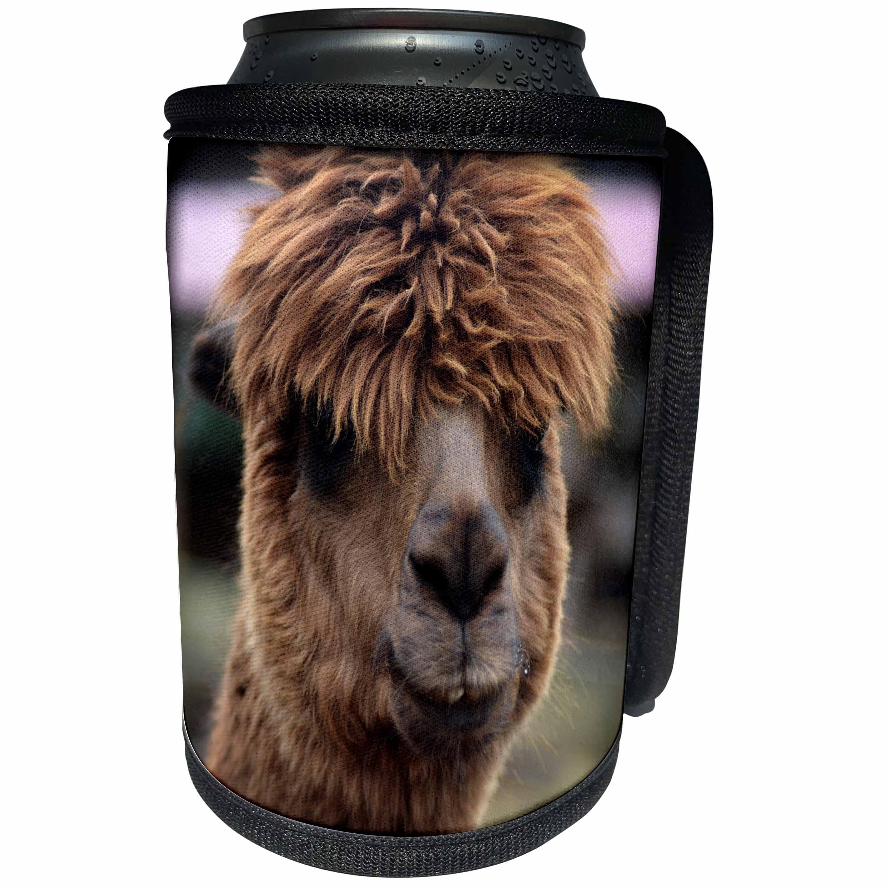 3dRose WhiteOaks Photography and Artwork - Lamas - What a Hair Day is a photo of a lama having a bad hair day - Can Cooler Bottle Wrap (cc_265351)